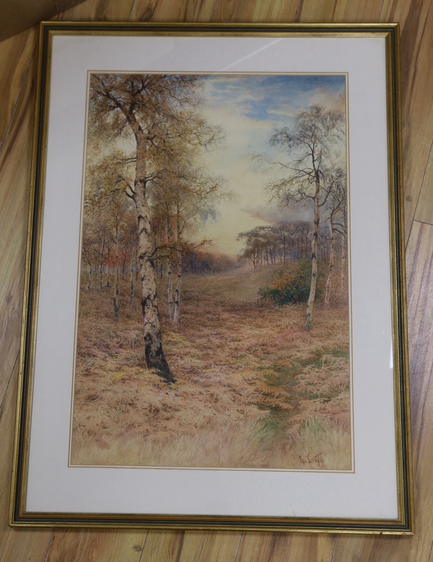 Paul Bertram (1833-1901), watercolour, Heathland scene, signed, 75 x 49cm